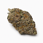 Candy Fumez THCa flower bud studio angle two