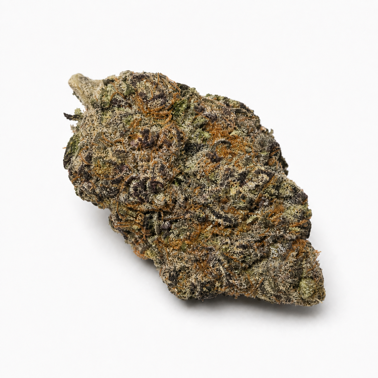 Candy Fumez THCa flower bud studio angle two