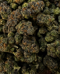 Candy Fumez THCa flower buds bulk view