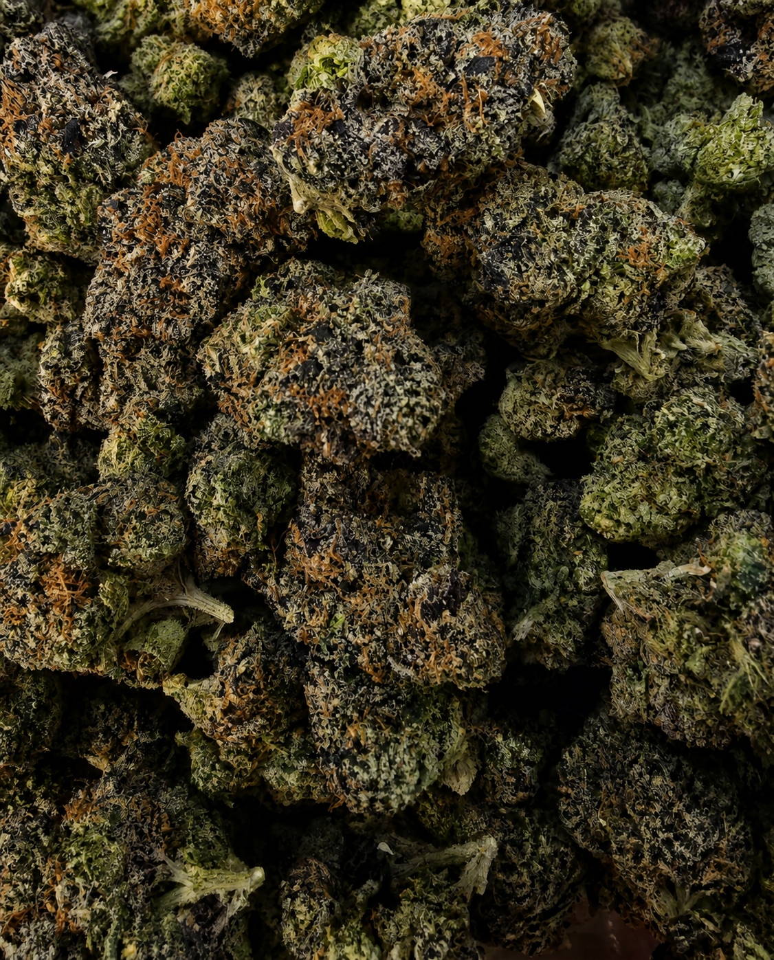 Candy Fumez THCa flower buds bulk view