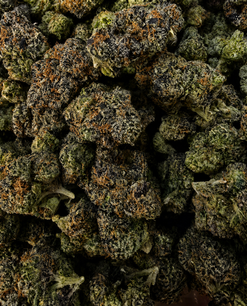 Candy Fumez THCa flower buds bulk view