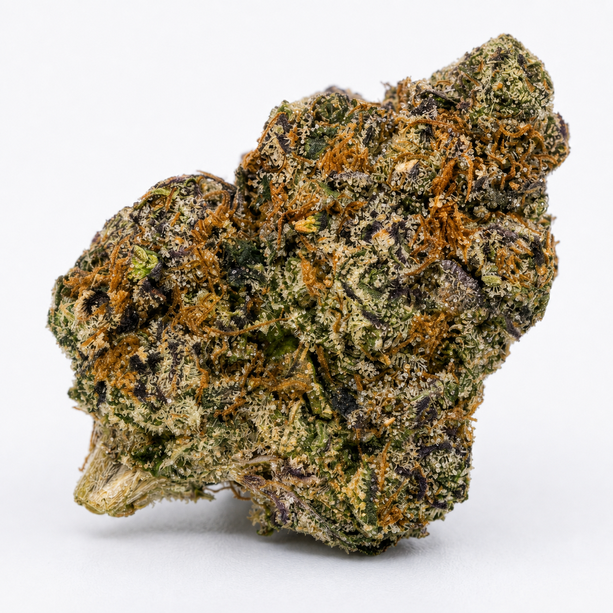 Candy Rain cannabis flower studio angle