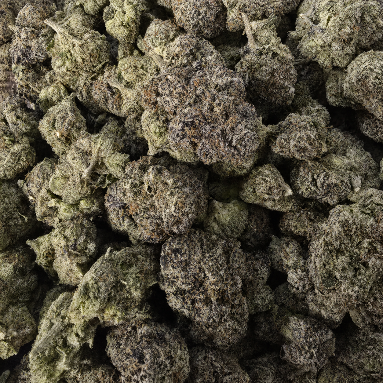 Candy Rain cannabis flower bulk view