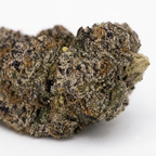 Candy Rain cannabis flower close-up