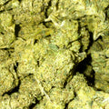 LCK THCA flower