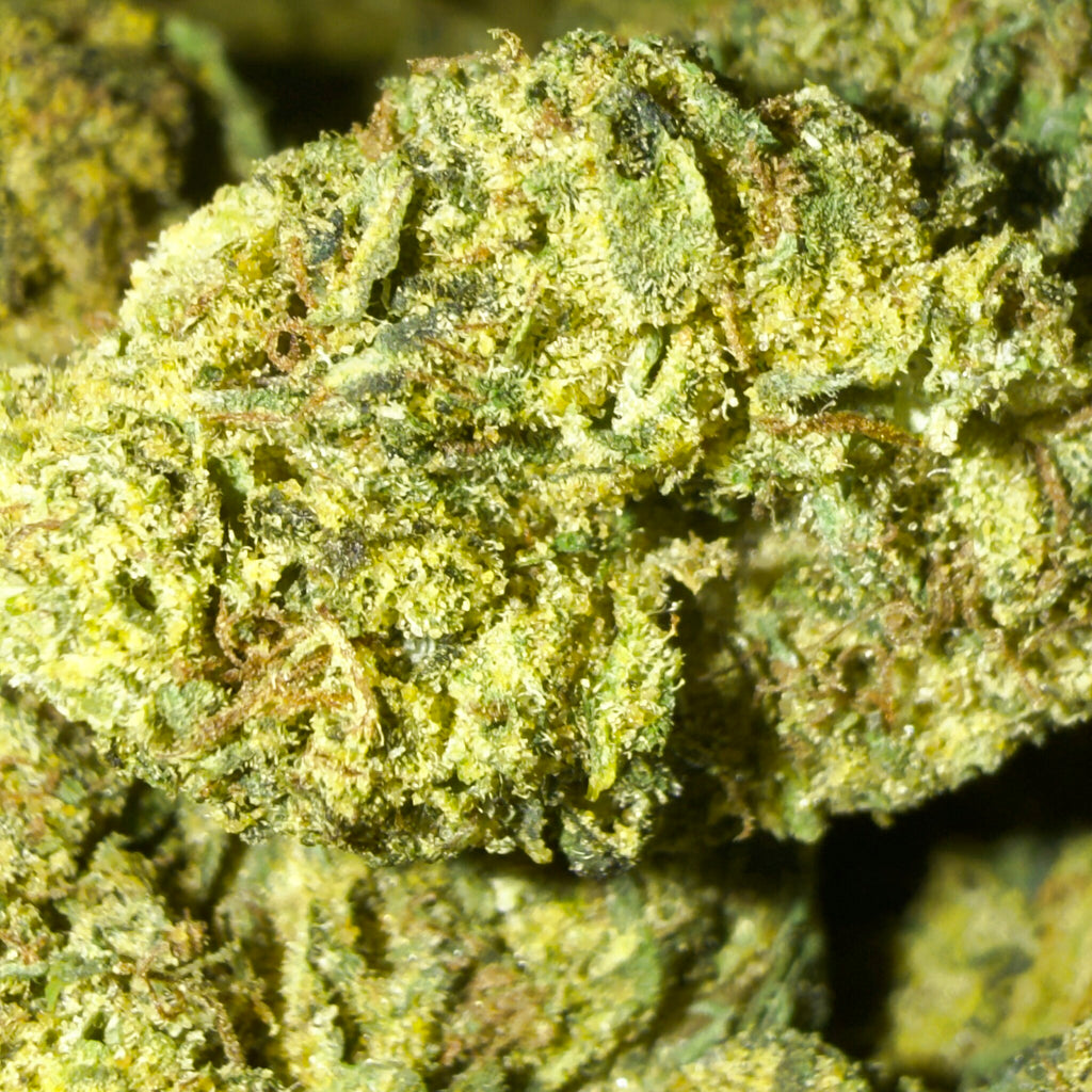 LCK THCA flower