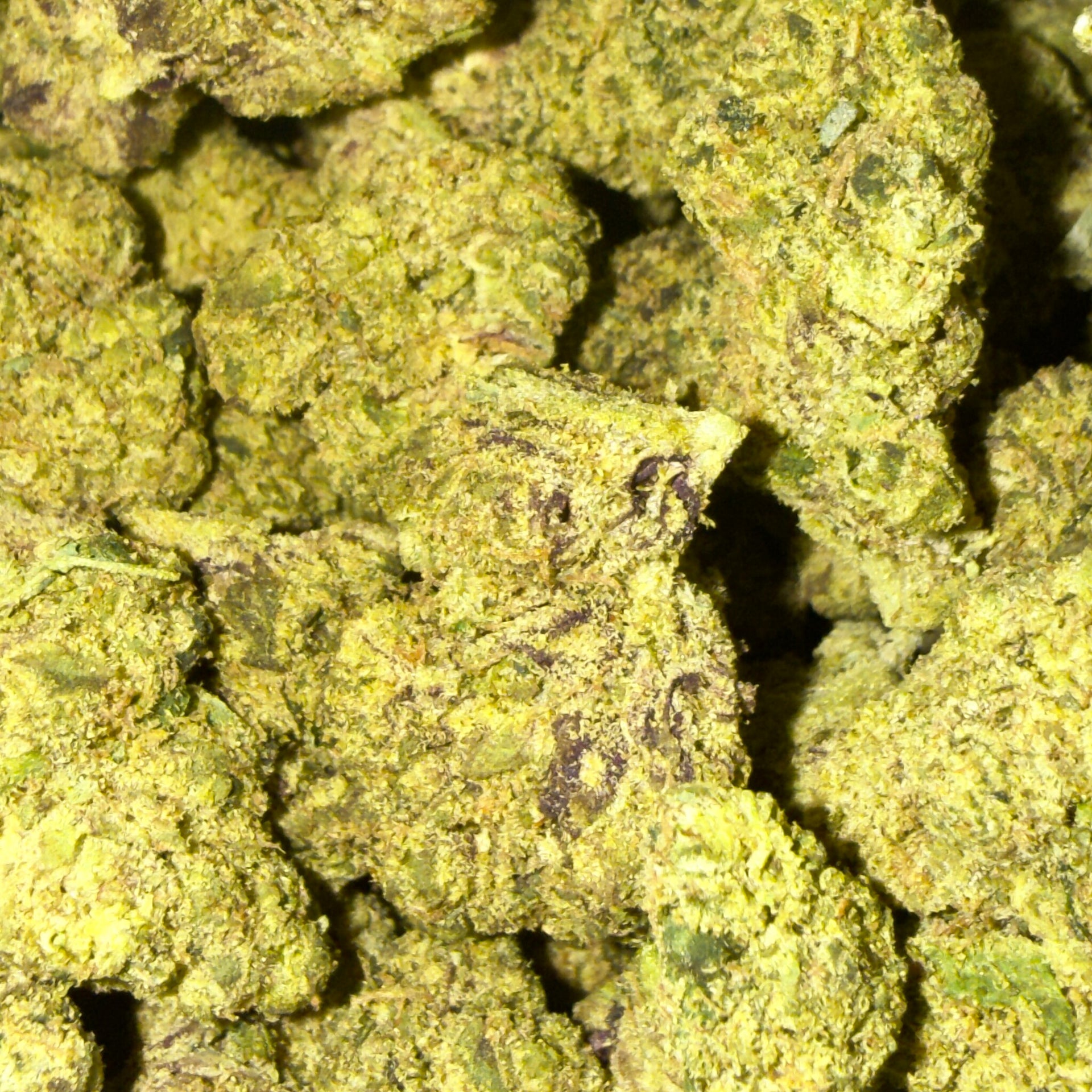 Sweet Grapefruit THCA flower