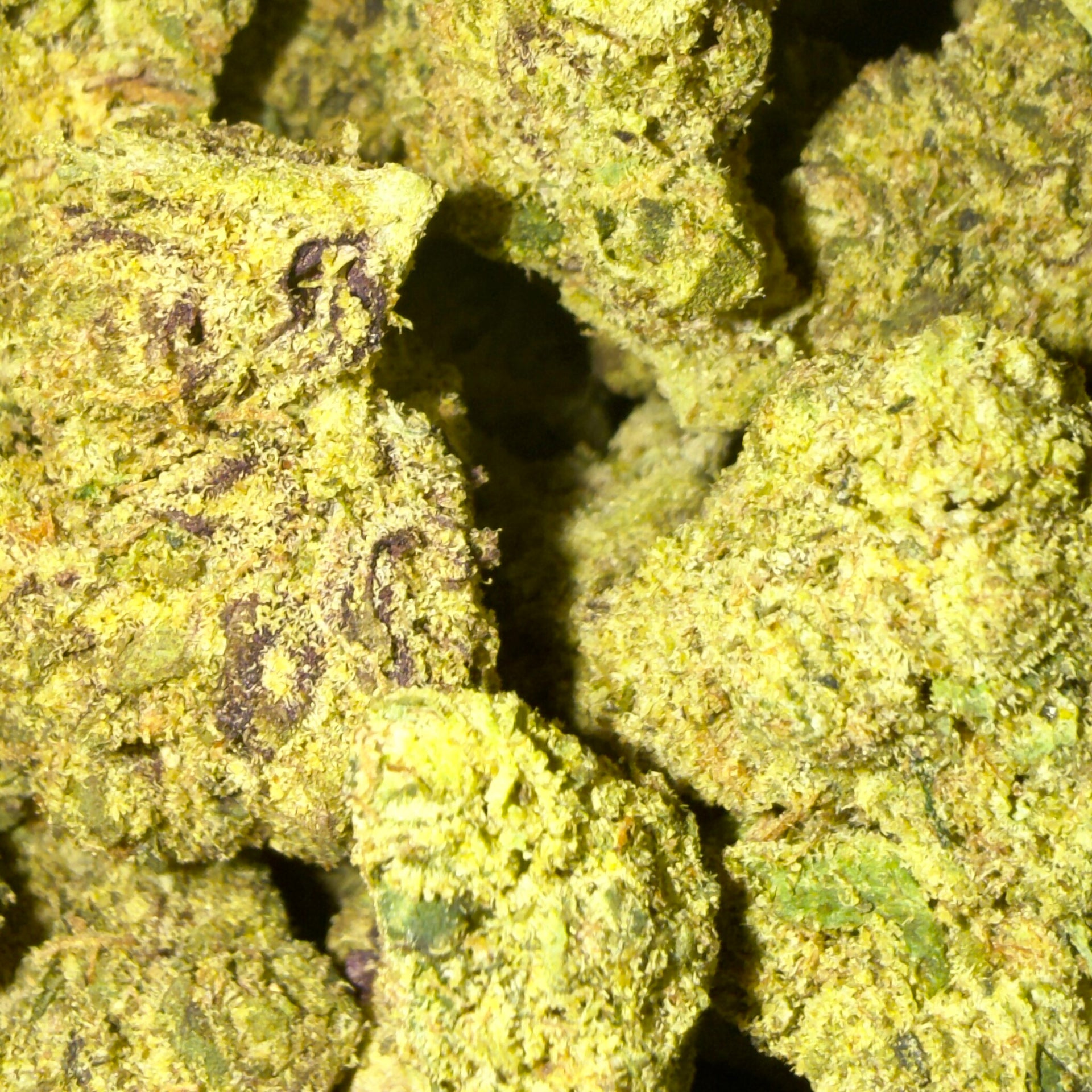 Sweet Grapefruit THCA flower