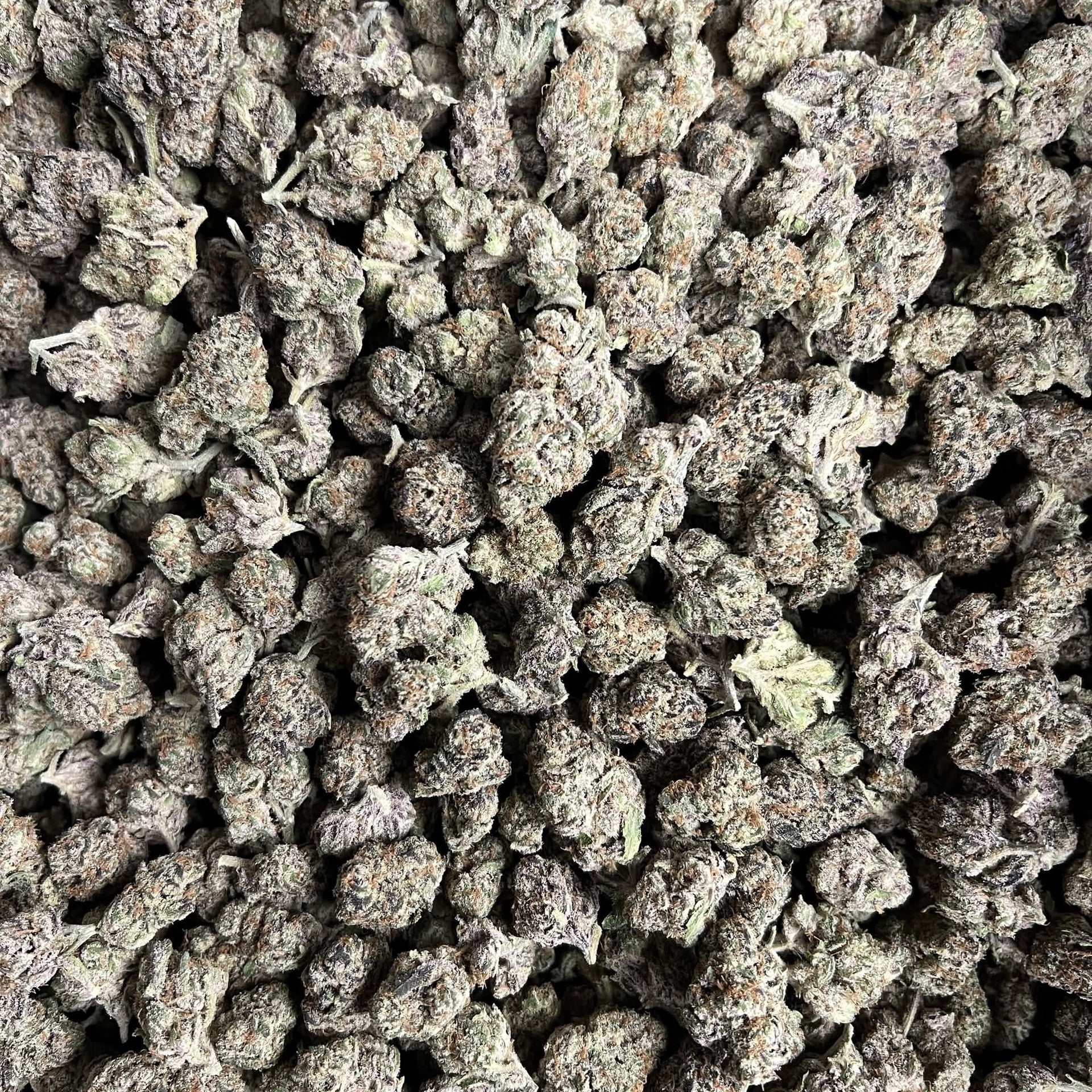 Blockberry